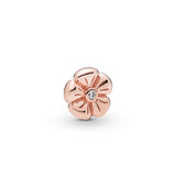 925 Sterling Silver Charm Flower Shell-shaped Women's Jewelry