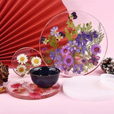Epoxy Resin Glue Kit High Adhesive DIY Jewelry Making