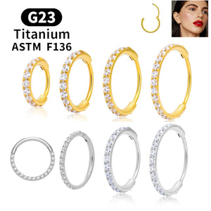 10PCS G23 Titanium Nose Rings Round Earrings Hoops 14G CZ Hinged Segment