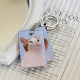 Acrylic Cartoon Cat Keychain Transparent Holographic Key Chains