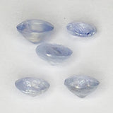 1.73ct Oval Cut Sapphire 4.7x3.9mm (5pcs)