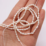 Natural Freshwater Pearls Beads, Rice-shaped Beads for Jewelry Making