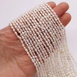 Natural Freshwater Pearls Beads, Rice-shaped Beads for Jewelry Making