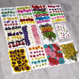 Flower Dry Plants Aromatherapy Candle Resin Pendant Jewelry DIY
