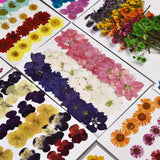 Flower Dry Plants Aromatherapy Candle Resin Pendant Jewelry DIY
