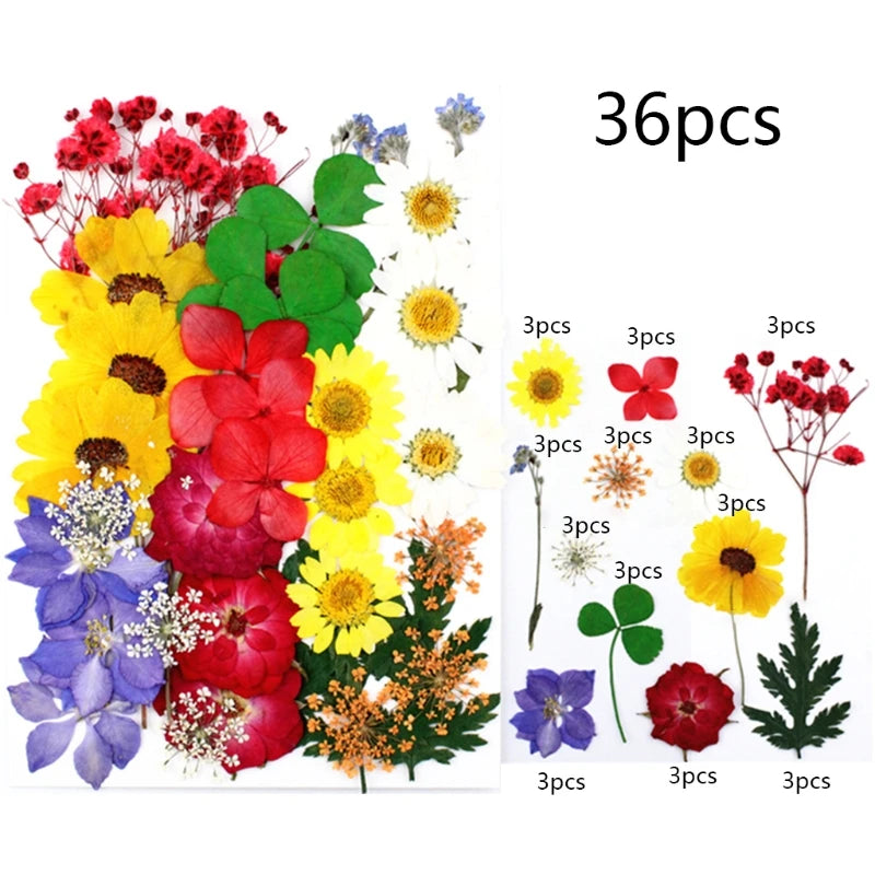 UV Dried Flowers Resin Stickers 3D Beauty Decal Epoxy Mold DIY Jewelry Supply