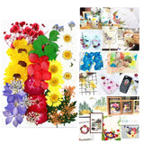 UV Dried Flowers Resin Stickers 3D Beauty Decal Epoxy Mold DIY Jewelry Supply
