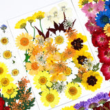 UV Dried Flowers Resin Stickers 3D Beauty Decal Epoxy Mold DIY Jewelry Supply