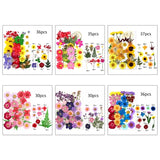 UV Dried Flowers Resin Stickers 3D Beauty Decal Epoxy Mold DIY Jewelry Supply