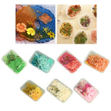 Crystal Epoxy Filler Dry Flower Nail Stickers Resin Material DIY Crafts Art