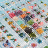 Dried Flowers Epoxy Resin Fillers Jewelry Craft DIY Nail Art