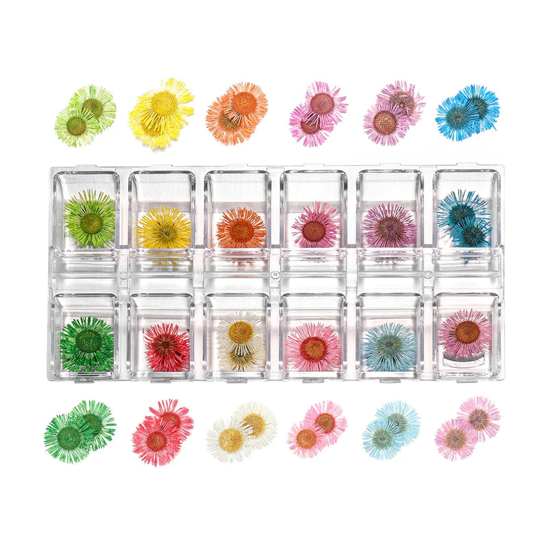 Dried Flowers Epoxy Resin Fillers Jewelry Craft DIY Nail Art