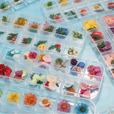 Dried Flowers Epoxy Resin Fillers Jewelry Craft DIY Nail Art