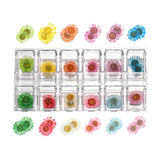 Dried Flowers Epoxy Resin Fillers Jewelry Craft DIY Nail Art