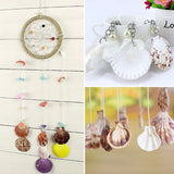 Mixed Shell Beads Pendant for DIY Necklace
