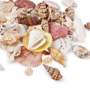 Mixed Shell Beads Pendant for DIY Necklace