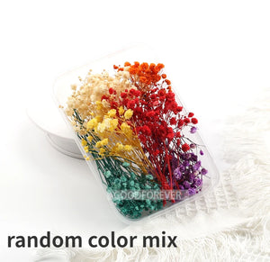 Dried Flowers Starry Sky Babys Breath Epoxy Resin Home Decor