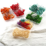 Dried Flowers Starry Sky Babys Breath Epoxy Resin Home Decor