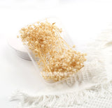 Dried Flowers Starry Sky Babys Breath Epoxy Resin Home Decor