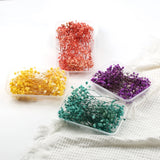 Dried Flowers Starry Sky Babys Breath Epoxy Resin Home Decor