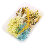 Natural Dried Plants Dry Flower DIY Frame Fan Embossing Aromatherapy Candle Mold