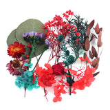 Natural Dried Plants Dry Flower DIY Frame Fan Embossing Aromatherapy Candle Mold