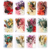 Natural Dried Plants Dry Flower DIY Frame Fan Embossing Aromatherapy Candle Mold