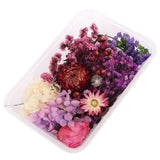 Natural Dried Plants Dry Flower DIY Frame Fan Embossing Aromatherapy Candle Mold