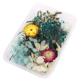 Natural Dried Plants Dry Flower DIY Frame Fan Embossing Aromatherapy Candle Mold
