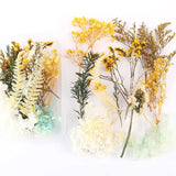 Natural Dried Plants Dry Flower DIY Frame Fan Embossing Aromatherapy Candle Mold