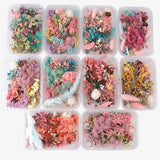 Dried Flower Dry Plants for Aromatherapy Candle Pendant Jewelry Scrapbooking DIY