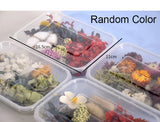 Dried Flower Dry Plants for Aromatherapy Candle Pendant Jewelry Scrapbooking DIY