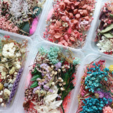 Dried Flower Dry Plants for Aromatherapy Candle Pendant Jewelry Scrapbooking DIY