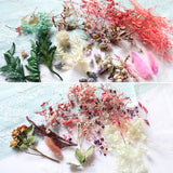 Dried Flower Dry Plants for Aromatherapy Candle Pendant Jewelry Scrapbooking DIY