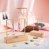 Rainbow Stainless Steel French Ear Wires for DIY Earrings