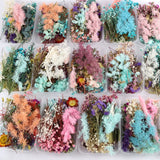 Real Dried Flower Dry Plants for Crafts