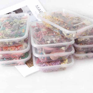Real Dried Flower Dry Plants for Crafts