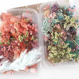 Real Dried Flower for Craft DIY Accessorie