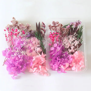 Dried Natural Plants for DIY Craft Embossing Aromatherapy Home Decoration