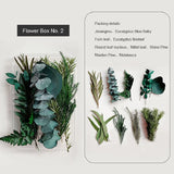 Dried Natural Plants for DIY Craft Embossing Aromatherapy Home Decoration