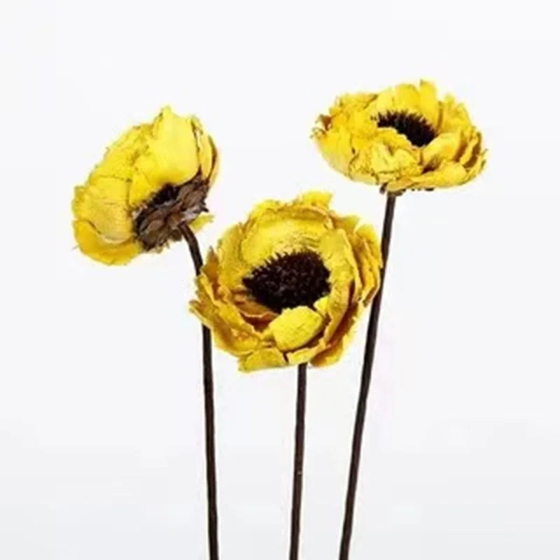 Natural Dried Flower Material European Style Home Decoration DIY
