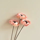Natural Dried Flower Material European Style Home Decoration DIY