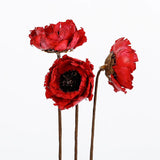 Natural Dried Flower Material European Style Home Decoration DIY