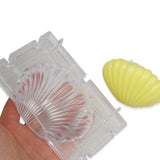 3D Sea Shell Candle Mold for Wax