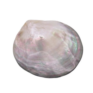 Natural Luster Shell 70-80mm Mother of Pearl Pendant