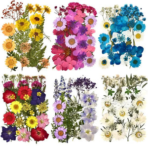 Dried Flowers UV Resin Beauty Stickers DIY Epoxy Jewelry Decoration