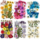 Dried Flowers UV Resin Beauty Stickers DIY Epoxy Jewelry Decoration