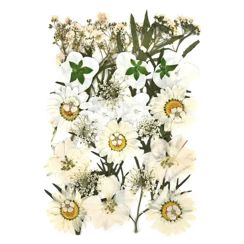 Dried Flowers UV Resin Beauty Stickers DIY Epoxy Jewelry Decoration