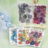 Dried Flowers UV Resin Beauty Stickers DIY Epoxy Jewelry Decoration