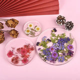Dried Flowers UV Resin Beauty Stickers DIY Epoxy Jewelry Decoration